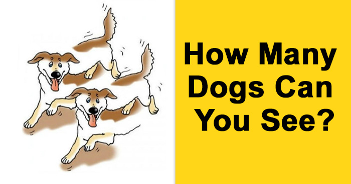 how-many-dogs-can-you-see-click-to-check-answer-quizcookie